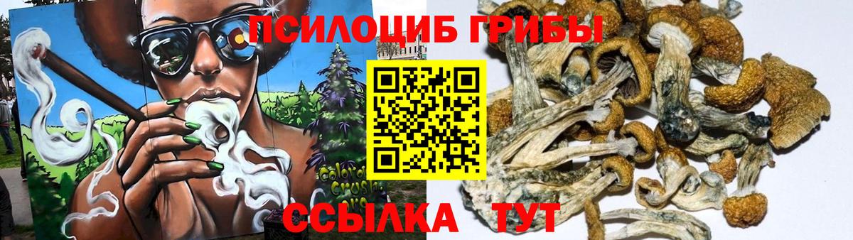 Псилоцибиновые грибы Magic Shrooms  Вход с VPN  Галлюциногенные грибы Cubensis  Абакан 